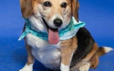 Abbey came from Baltimore to have open chest surgery