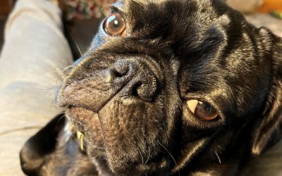 Stanley: From Out of Breath to Running Top Speed