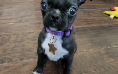 Extreme makeover: Starr’s cleft palate surgery