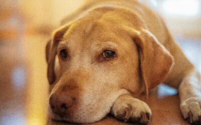 How Pearl’s surgery solved her repeated bladder infections
