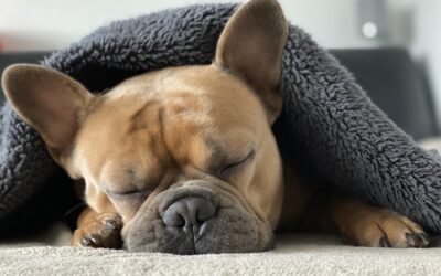 5 (more) important questions about postop care
