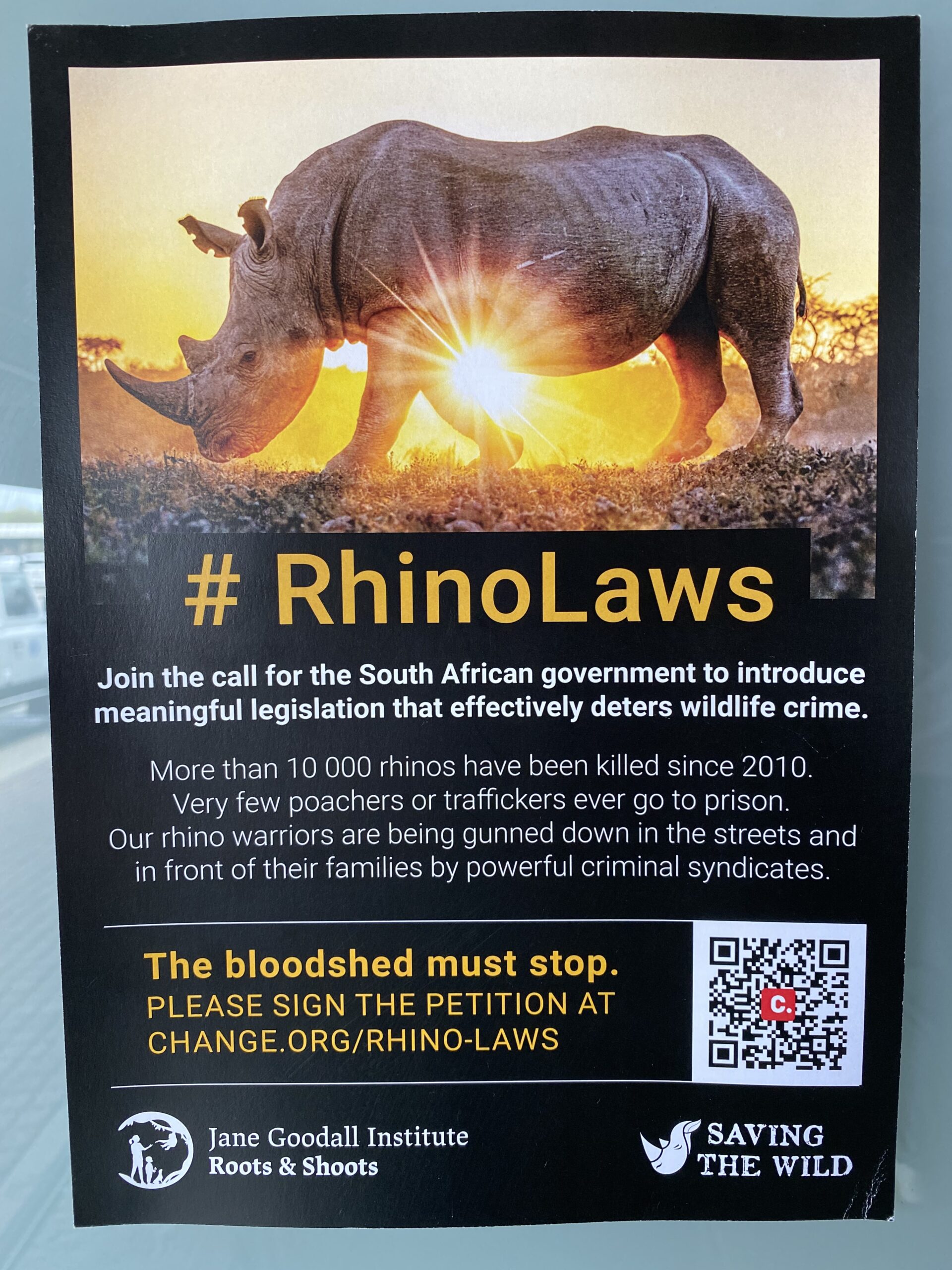 Rhino laws