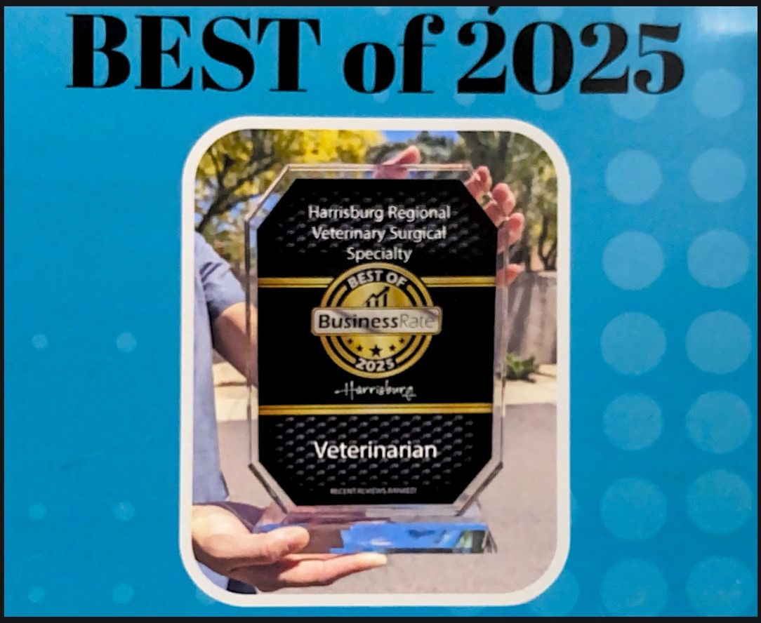 Best of 2025