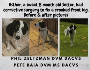 Esther pre & post